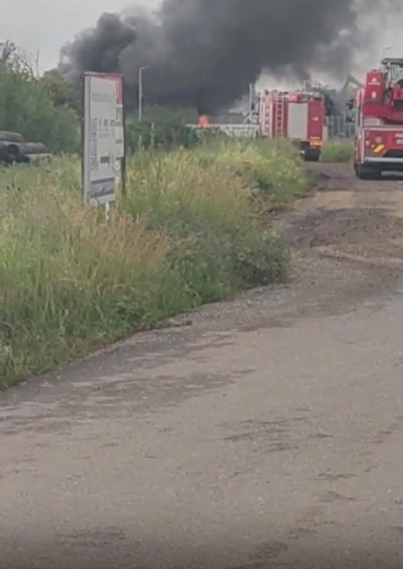 Incendiu puternic la Lugoj. O hală industrială a fost cuprinsă de flăcări.