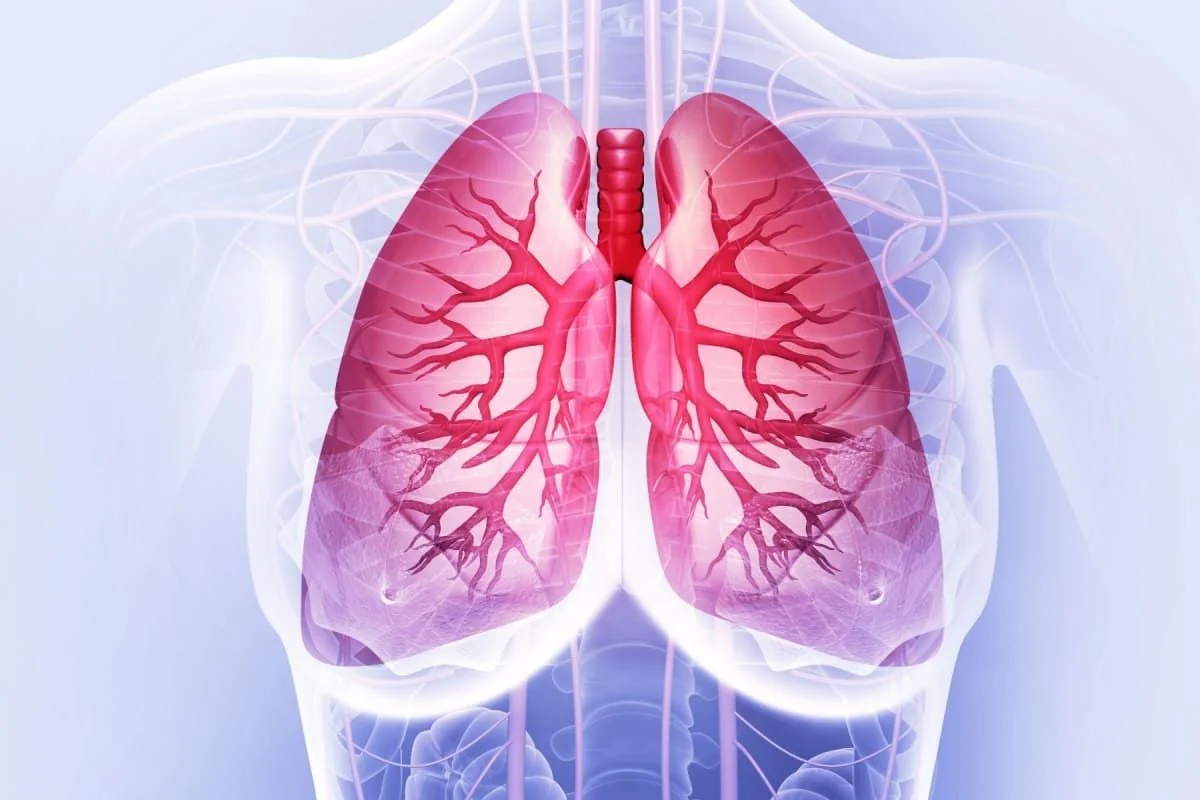 Inteligența artificială intră în ecografia pulmonară pediatrică. Medic timișorean: „Nu înlocuiește medicul”