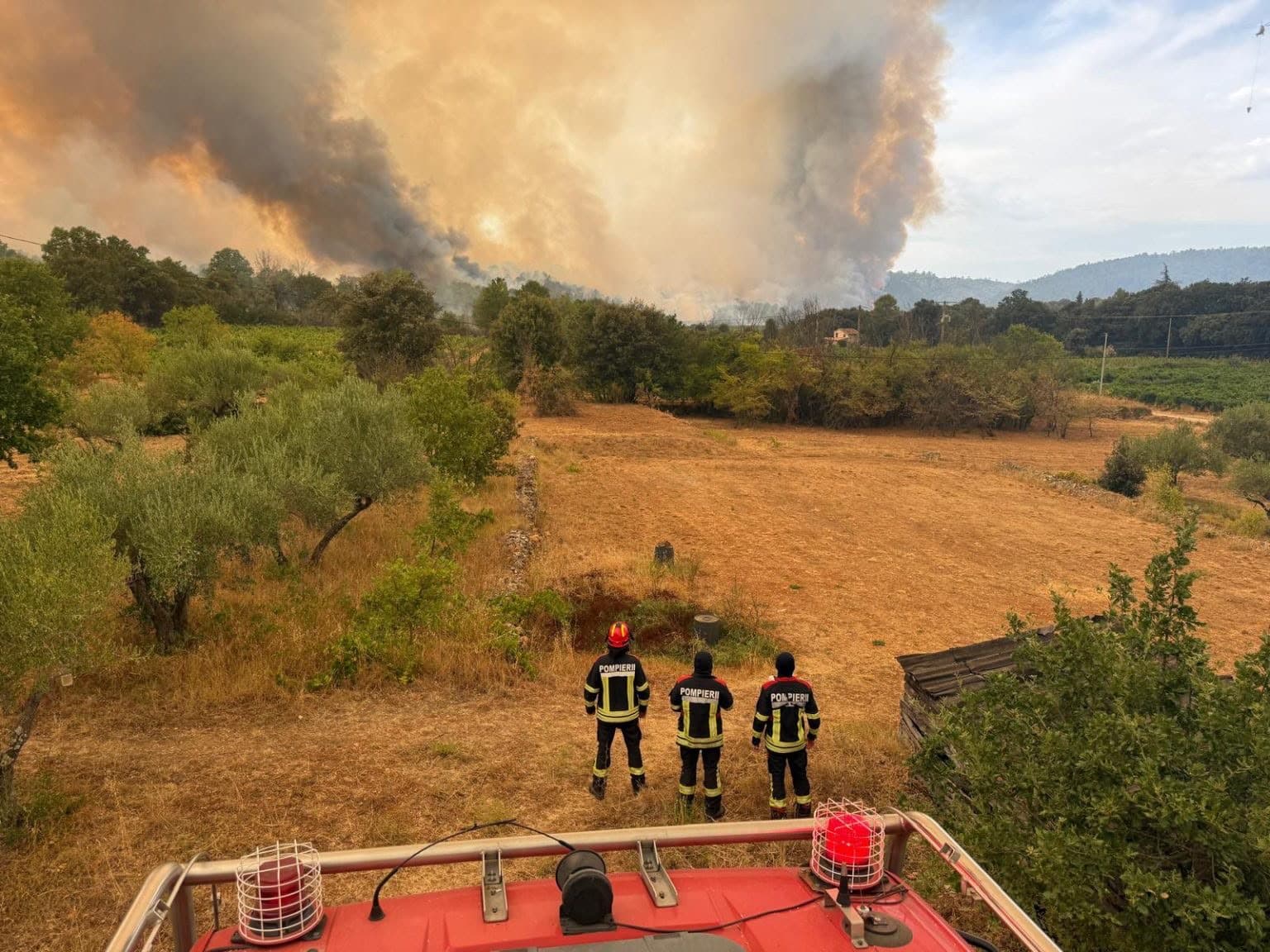 Val de incendii de vegetație în Timiș. Peste 35 de hectare, mistuite de flăcări