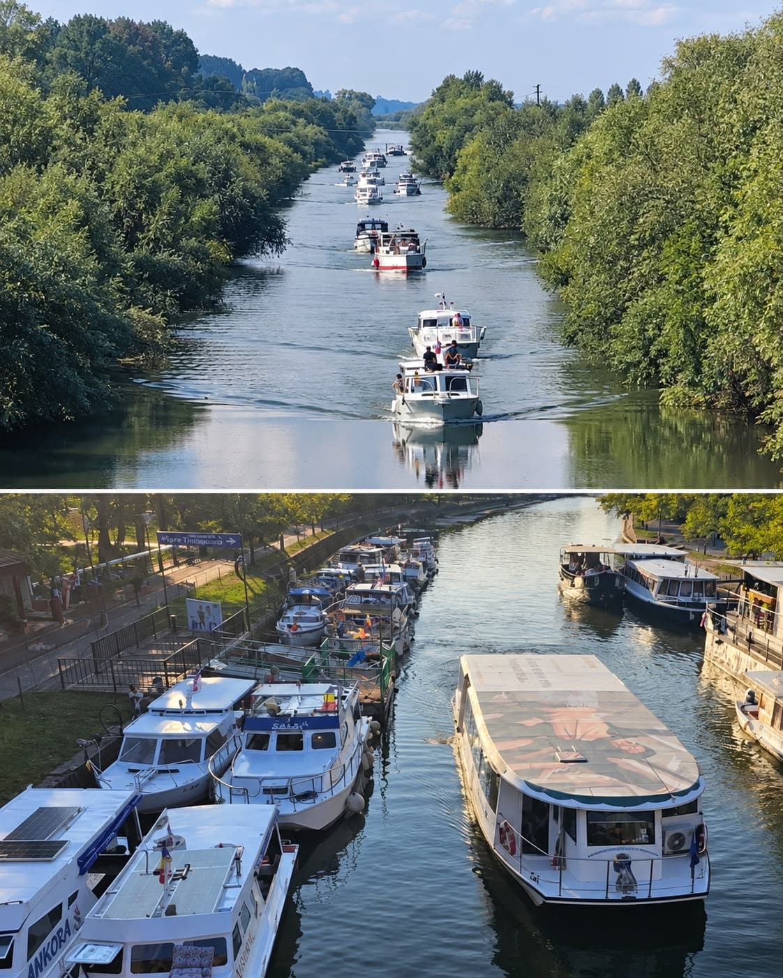 Regata Bega 2026 aduce o săptămână de evenimente pe apă. Aproape 20 de ambarcațiuni vin din Serbia la Timișoara